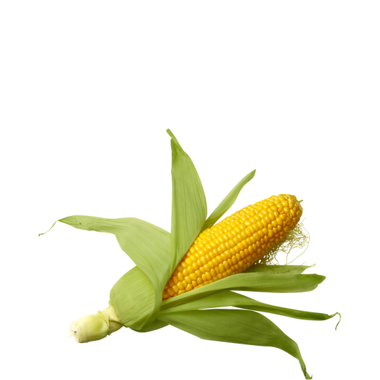 Corn (Pile)
