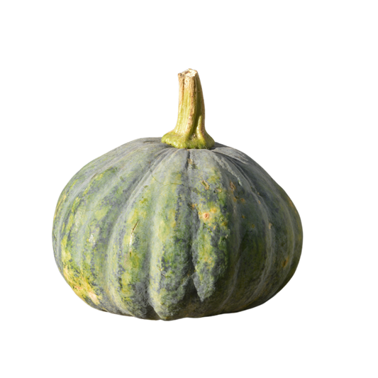 Pumpkin Fruit (Single)