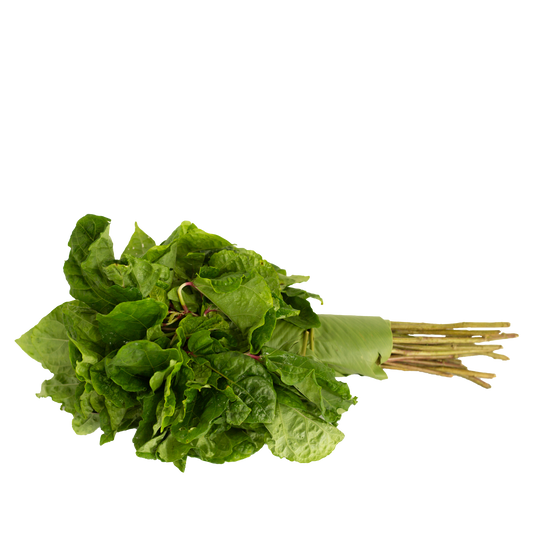Slippery Cabbage (Bundle)