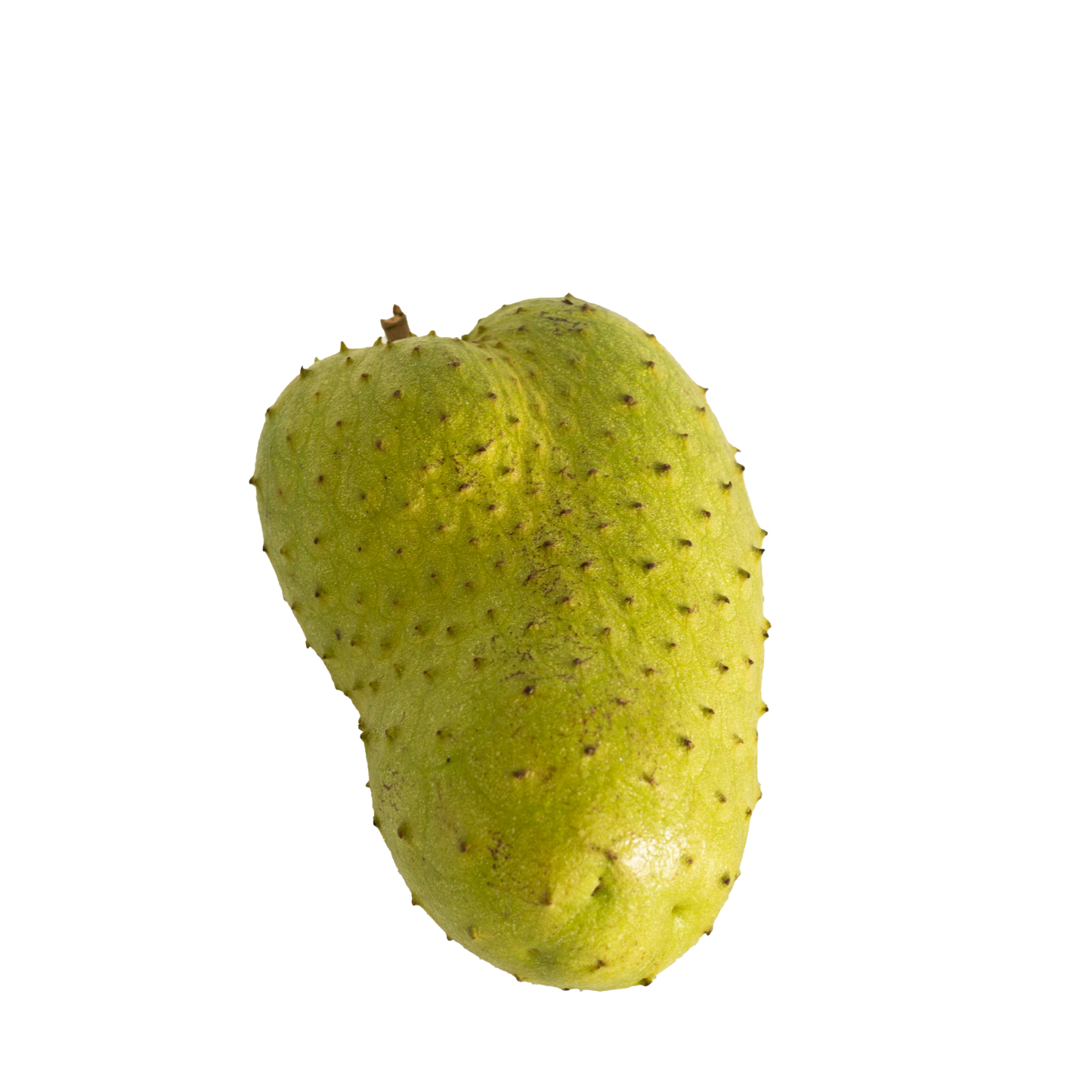 Soursop Fruit (Single)